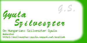 gyula szilveszter business card